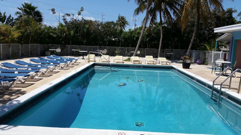 Imagen de la piscina del Hotel Coconut Cay Resort and Marina. Foto 18