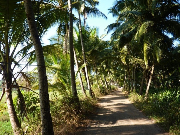 Imagen general del Hotel Coconut Grove Beach Resort, Goa. Foto 2