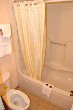 Imagen de la habitación del Hotel Coconut Grove Motor Inn. Foto 5