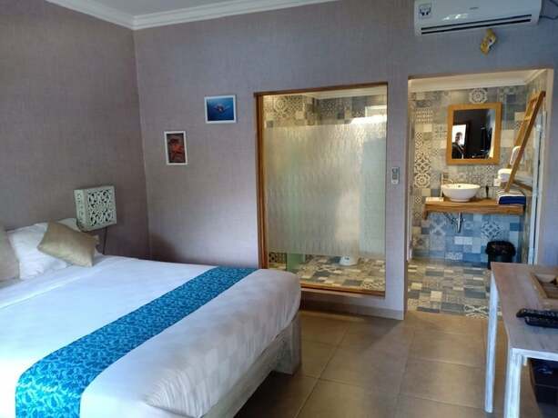 Imagen general del Hotel Coconut Lodge. Foto 10