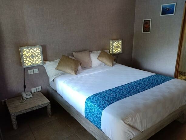 Imagen de la habitación del Hotel Coconut Lodge. Foto 37