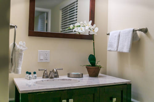 Imagen de la habitación del Hotel Coconut Palm Inn. Foto 5