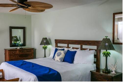 Imagen de la habitación del Hotel Coconut Palm Inn. Foto 9