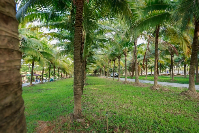 Imagen de los interiores del Hotel Coconut Resort. Foto 16