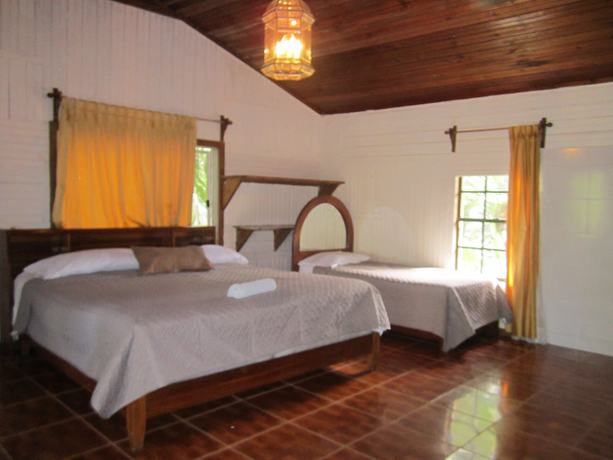 Imagen de la habitación del Hotel Coconut Tree West Bay. Foto 13