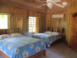Imagen de la habitación del Hotel Coconut Tree West End. Foto 2