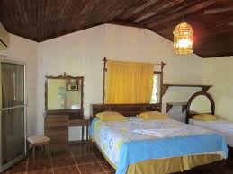 Imagen de la habitación del Hotel Coconut Tree West End. Foto 3