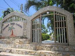Imagen de los exteriores del Hotel Coconut Tree West End. Foto 5