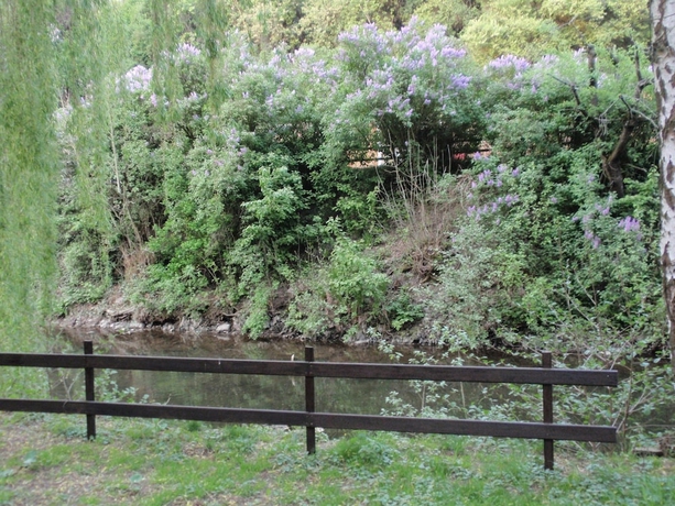 Imagen de los exteriores del Hotel Cocoon Du Commerce. Foto 14