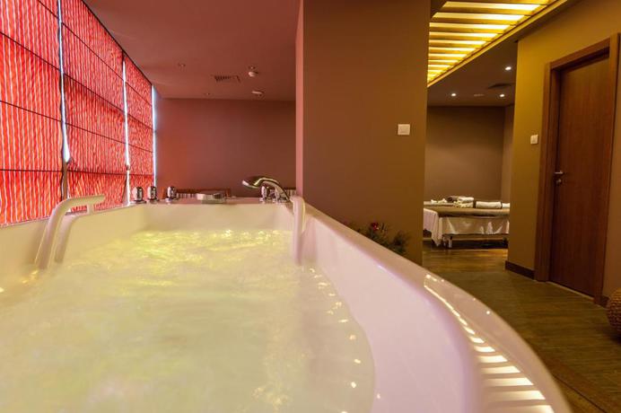 Imagen de los interiores del Hotel Cocor Spa. Foto 12