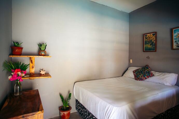 Imagen general del Hotel Cocori Lodge. Foto 4