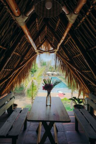 Imagen de la habitación del Hotel Cocori Lodge. Foto 14