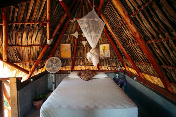 Imagen de la habitación del Hotel Cocori Lodge. Foto 20