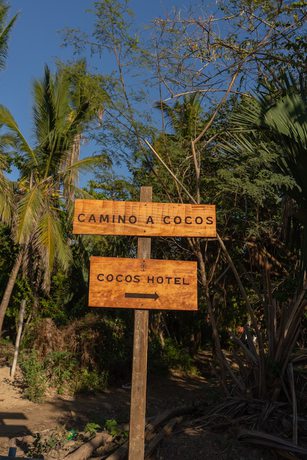 Imagen de los interiores del Hotel Cocos, San Pedro Pochutla. Foto 17