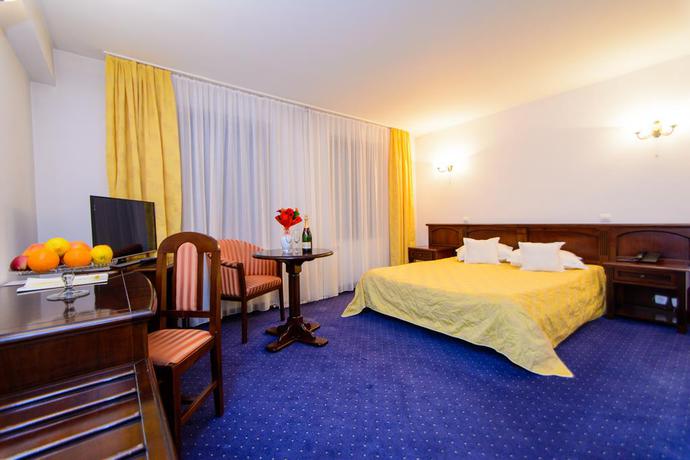 Imagen de la habitación del Hotel Codrisor. Foto 10