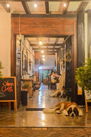 Imagen de los interiores del Hotel Coffee Tree Boutique Hostel. Foto 16