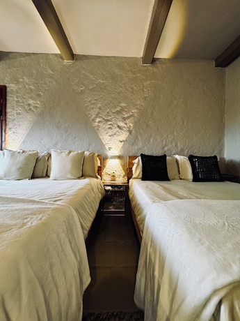 Imagen de la habitación del Hotel Coffee Tree Boutique Hostel. Foto 15