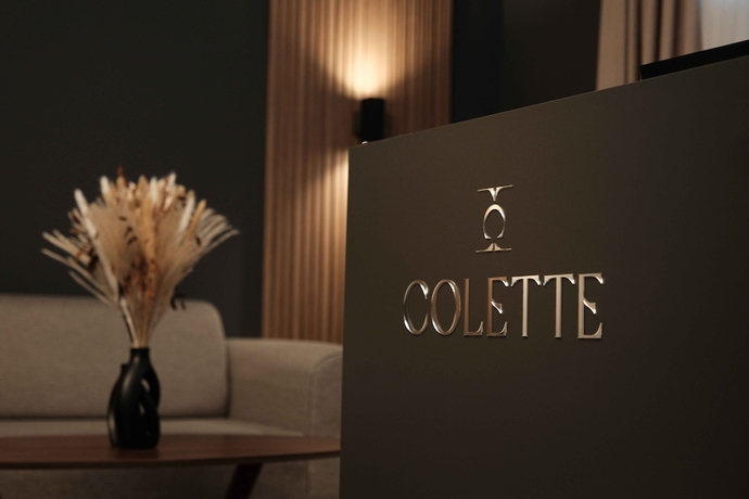 Imagen de los interiores del Hotel Colette. Foto 17