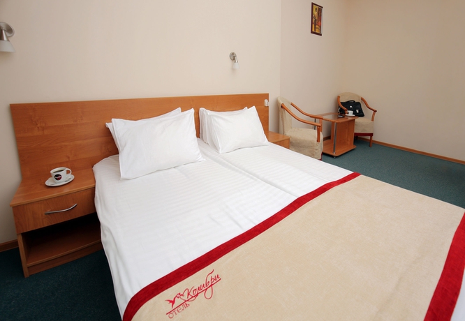 Imagen de la habitación del Hotel Colibri Hotel, NOVOSIBIRSK. Foto 6