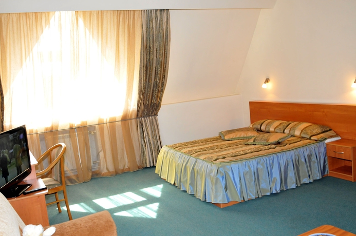 Imagen de la habitación del Hotel Colibri Hotel, NOVOSIBIRSK. Foto 9