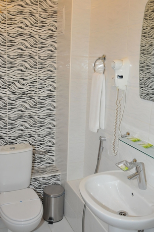 Imagen de la habitación del Hotel Colibri Hotel, NOVOSIBIRSK. Foto 11