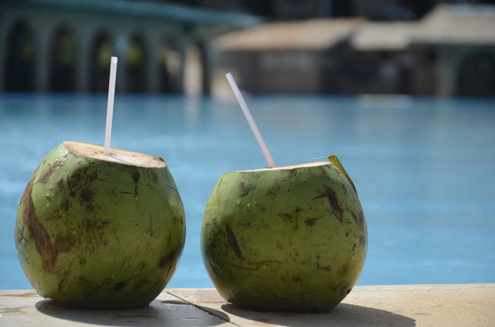 Imagen del bar/restaurante del Hotel Coliseum Beach Resort - All Inclusive. Foto 5