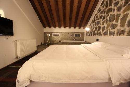 Imagen general del Hotel Collection - Home Resorts. Foto 4