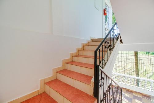 Imagen general del Hotel Collection O Bay 11. Foto 10