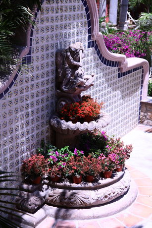 Imagen general del Hotel Collection O Casa Bella Hotel Boutique, Cabo San Lucas. Foto 3