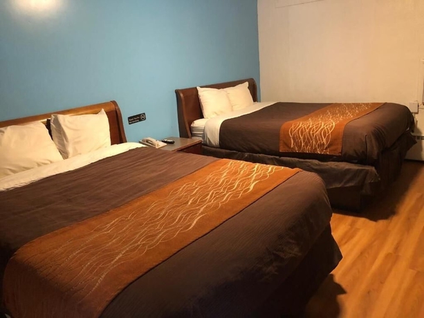 Imagen de la habitación del Hotel Collier\'s Motel. Foto 6