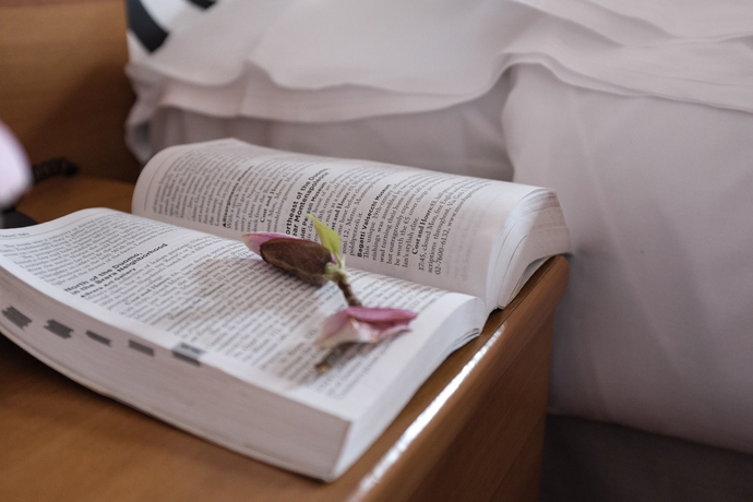 Imagen de la habitación del Hotel Colomba. Foto 12