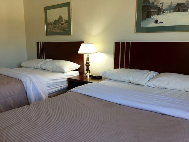 Imagen de la habitación del Hotel Colonial Inn, Brandon. Foto 18
