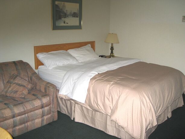 Imagen de la habitación del Hotel Colonial Inn, Brandon. Foto 19