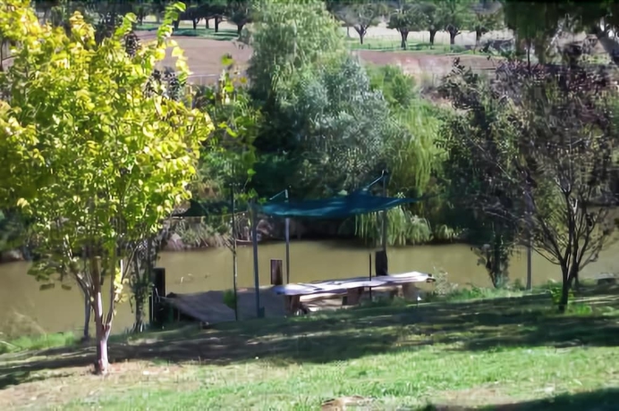 Imagen de los exteriores del Hotel Colonial Inn Tamworth. Foto 17