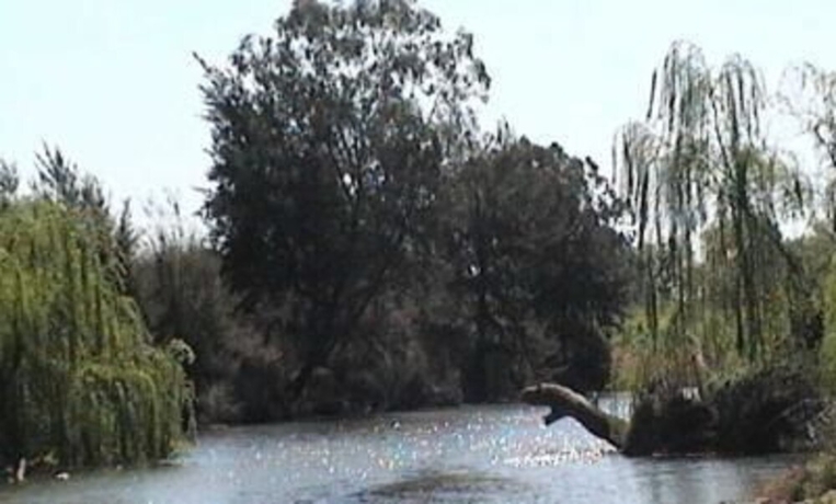 Imagen de los exteriores del Hotel Colonial Inn Tamworth. Foto 18