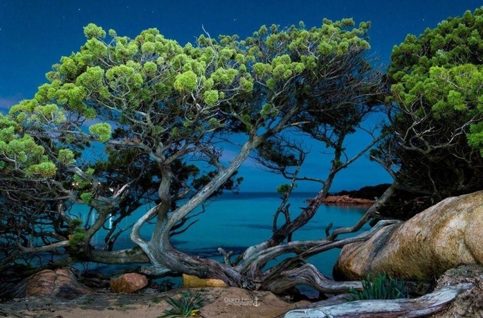 Imagen general del Hotel Colonna Country and Sporting. Foto 12