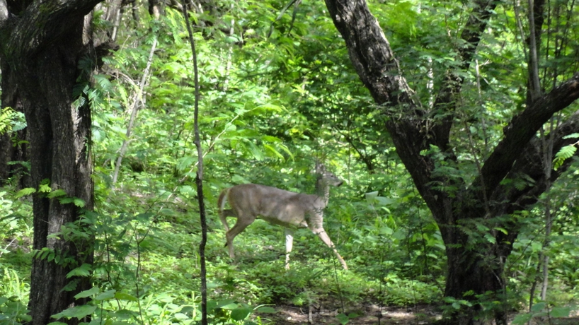 Imagen de los exteriores del Hotel Colono Beach. Foto 13