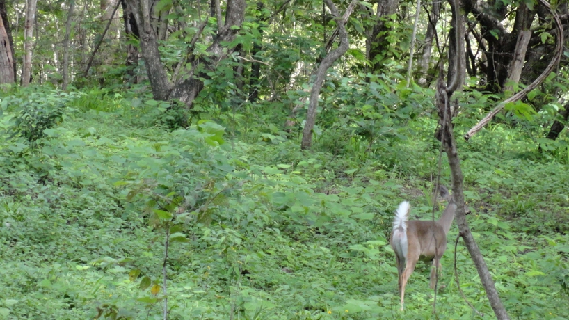 Imagen de los exteriores del Hotel Colono Beach. Foto 14