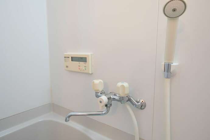 Imagen general del Hotel Color Namba South. Foto 12
