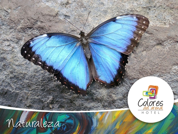 Imagen de los exteriores del Hotel Colores Del Arenal. Foto 13