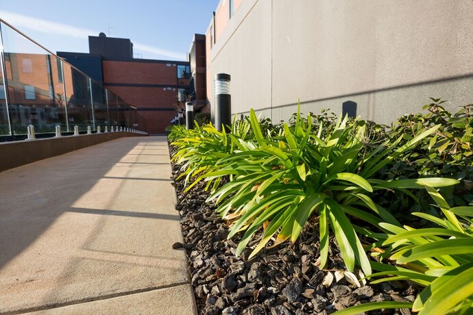 Imagen de los exteriores del Hotel Colour and Swank at the Mill in the Heart of the CBD. Foto 17