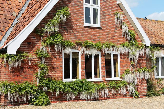 Imagen de los exteriores del Hotel Colston Hall Cottages. Foto 20