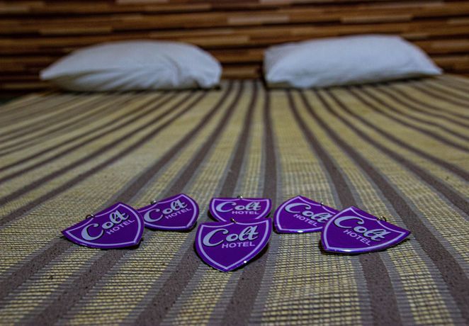 Imagen de la habitación del Hotel Colt. Foto 4