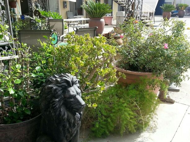 Imagen general del Hotel Colusa Riverside Inn. Foto 6