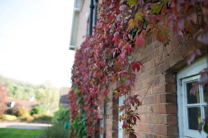 Imagen de los interiores del Hotel Colwall Park. Foto 16