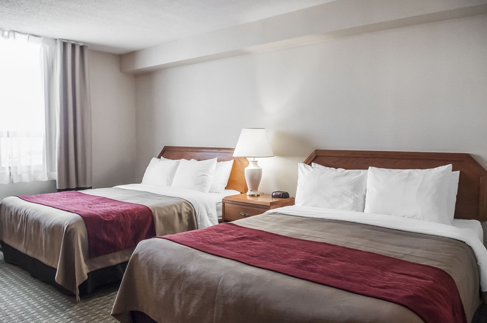 Imagen de la habitación del Hotel Comfort Airport North. Foto 8