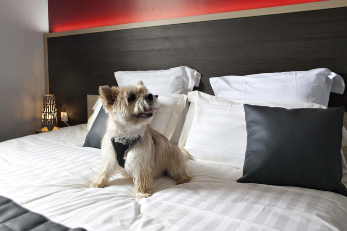 Imagen de la habitación del Hotel Comfort Clermont St Jacques. Foto 4