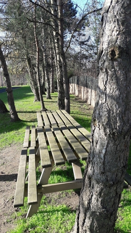 Imagen de los exteriores del Hotel Comfort Hotel Champigny Sur Marne. Foto 13