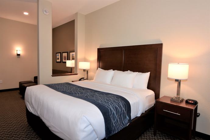 Imagen de la habitación del Hotel Comfort INN AND Suites, Rock Hill. Foto 7