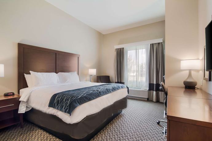Imagen de la habitación del Hotel Comfort INN AND Suites, Rock Hill. Foto 15